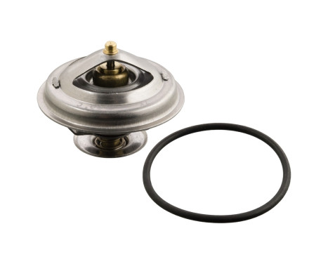 Thermostat, coolant 12189 FEBI