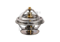 Thermostat, coolant 172077 FEBI