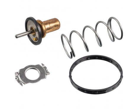 Thermostat, coolant 172432 FEBI
