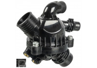 Thermostat, coolant 172624 FEBI