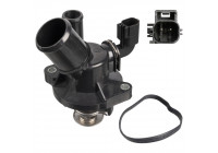 Thermostat, coolant 172970 FEBI