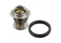 Thermostat, coolant 173096 FEBI