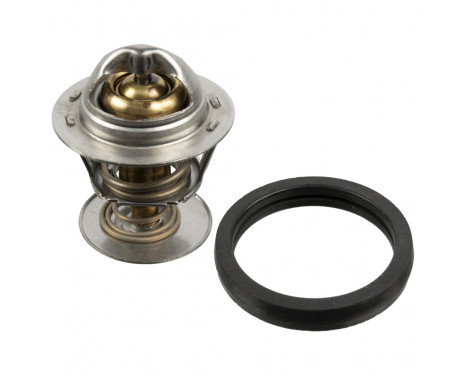 Thermostat, coolant 173096 FEBI