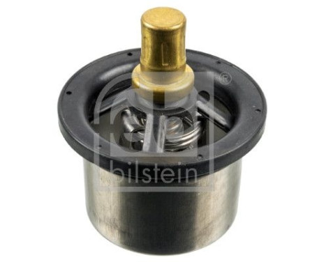 Thermostat, coolant 173716 FEBI