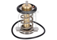 Thermostat, coolant 185598 FEBI