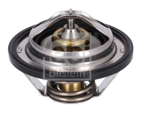 Thermostat, coolant 196060 FEBI