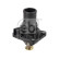 Thermostat, coolant 39144 FEBI