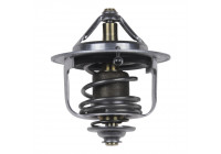 Thermostat, coolant 47409 FEBI
