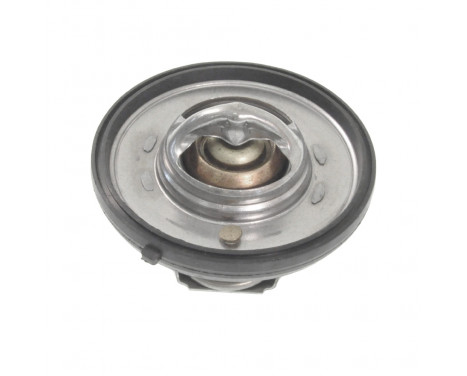 Thermostat, coolant ADA109203 Blue Print