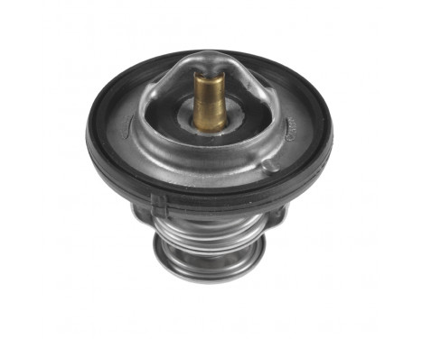 Thermostat, coolant ADA109213 Blue Print