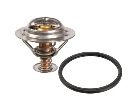 Thermostat, coolant ADBP920001 Blue Print