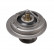 Thermostat, coolant ADC49208 Blue Print