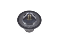 Thermostat, coolant ADC49227 Blue Print