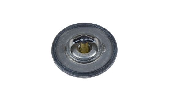 Thermostat, coolant ADD69207 Blue Print