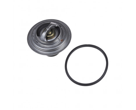 Thermostat, coolant ADD69211 Blue Print