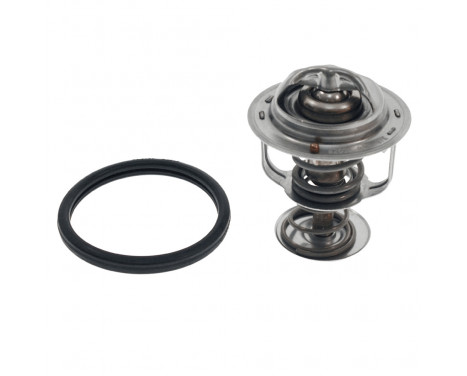 Thermostat, coolant ADD69215 Blue Print