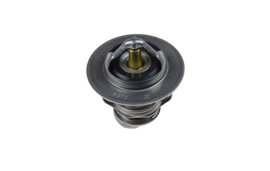 Thermostat, coolant ADG09220 Blue Print