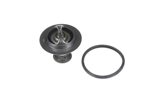 Thermostat, coolant ADG09221 Blue Print