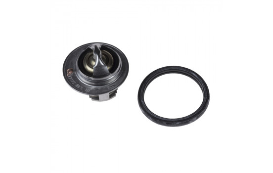 Thermostat, coolant ADG09234 Blue Print