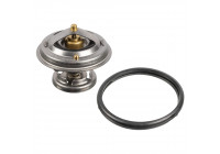 Thermostat, coolant ADG09236 Blue Print