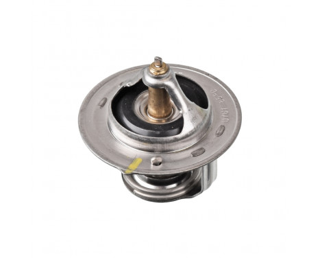 Thermostat, coolant ADG09244 Blue Print