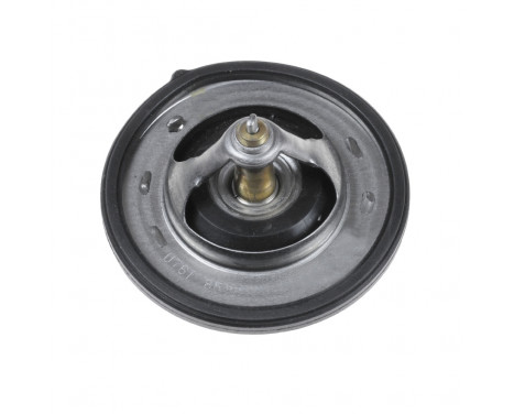 Thermostat, coolant ADG09249 Blue Print