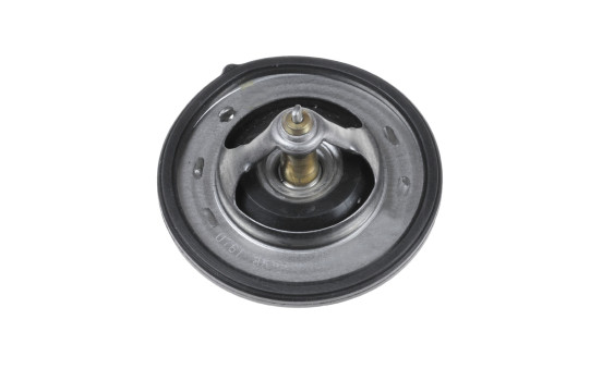 Thermostat, coolant ADG09249 Blue Print