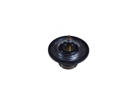 Thermostat, coolant ADG09250 Blue Print