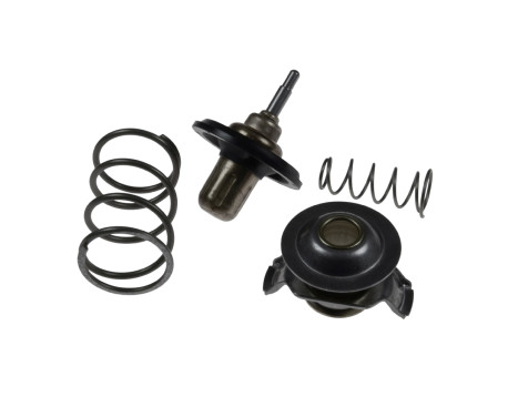 Thermostat, coolant ADJ139204 Blue Print