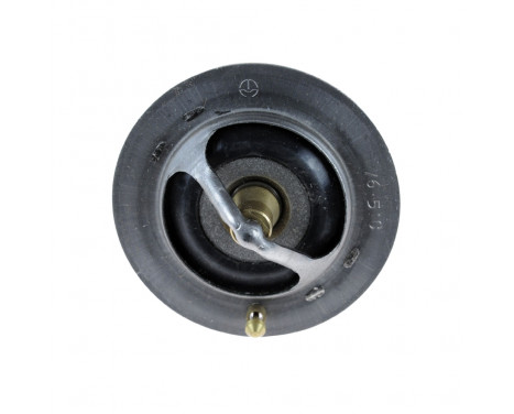 Thermostat, coolant ADN19205 Blue Print, Image 2