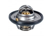 Thermostat, coolant ADN19232 Blue Print