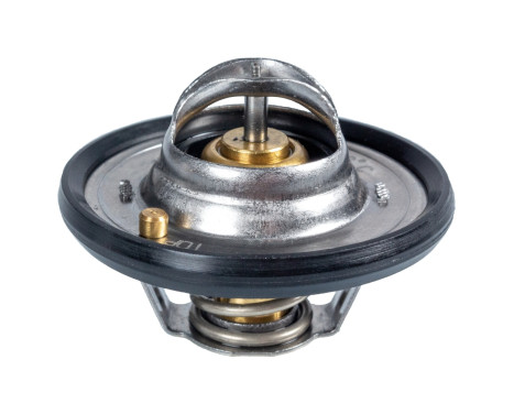 Thermostat, coolant ADN19232 Blue Print