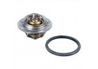 Thermostat, coolant ADN19233 Blue Print