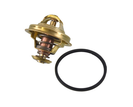Thermostat, coolant ADT39202 Blue Print