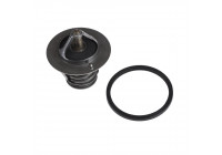 Thermostat, coolant ADT39207 Blue Print