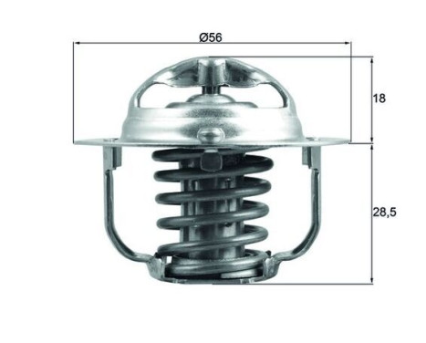 Thermostat, coolant BEHR