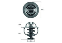 Thermostat, coolant BEHR