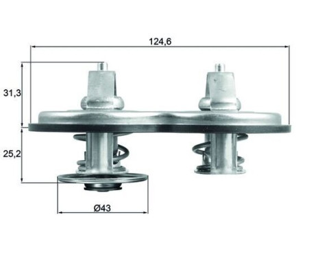 Thermostat, coolant BEHR