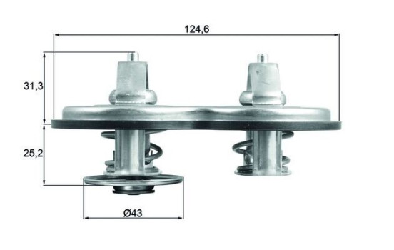 Thermostat, coolant BEHR