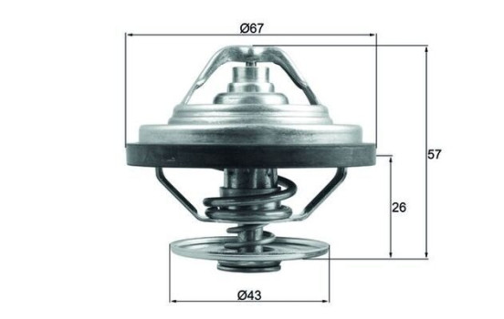 Thermostat, coolant BEHR