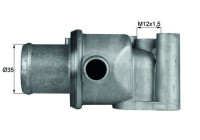 Thermostat, coolant BEHR