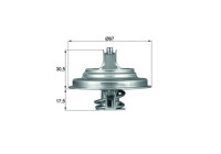 Thermostat, coolant BEHR