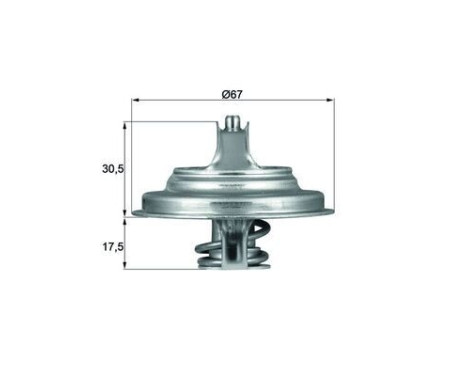 Thermostat, coolant BEHR