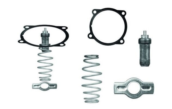 Thermostat, coolant BEHR