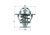 Thermostat, coolant BEHR