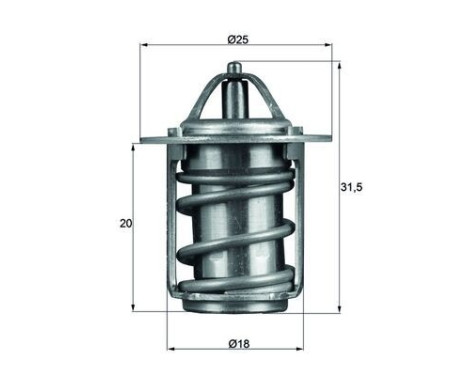 Thermostat, coolant BEHR