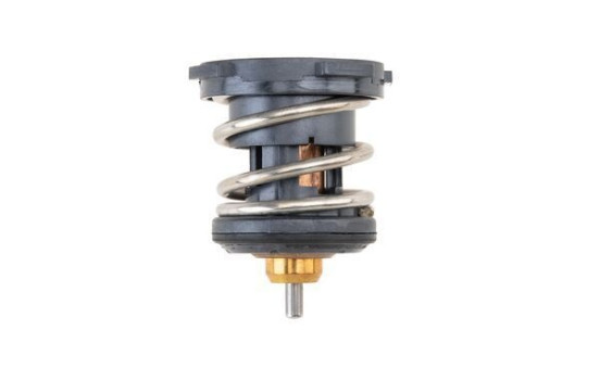 Thermostat, coolant BEHR