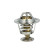 Thermostat, coolant EASY FIT