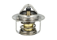 Thermostat, coolant EASY FIT