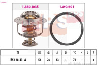 Thermostat, coolant Made in Italy - OE Equivalent
